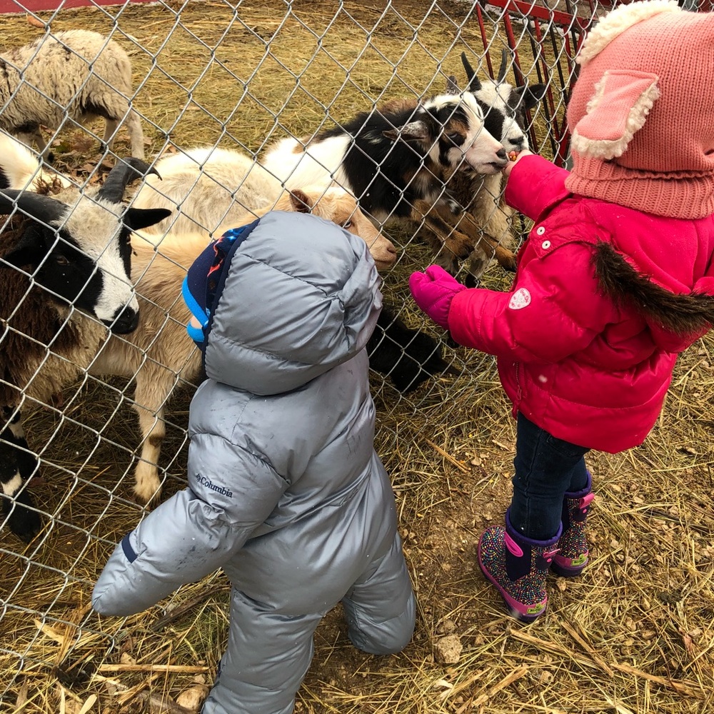 Meet your Posher, Diana